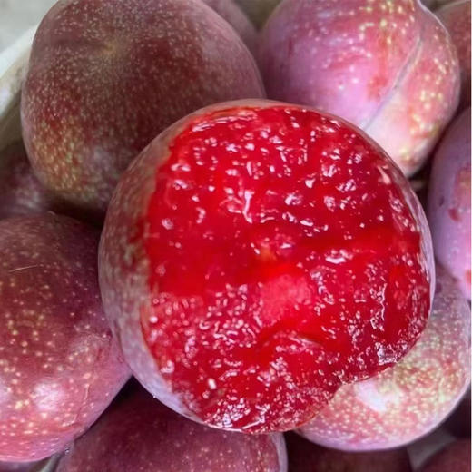 【广东信宜】现摘即发三华李新鲜正宗红心李酸甜脆 商品图1