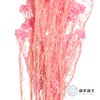 永生花材 | 小米花漂亮粉 商品缩略图2