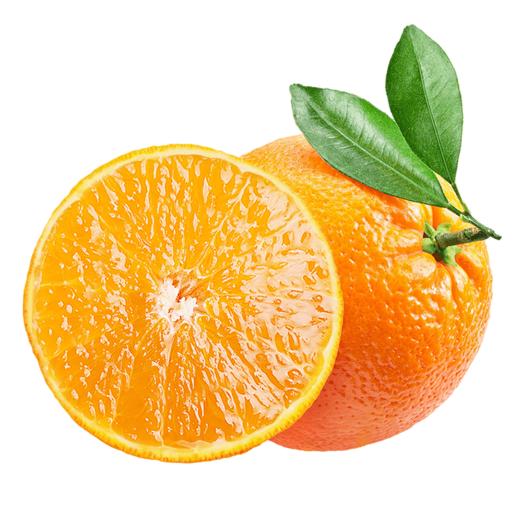 【春之语】湖北伦晚橙 商品图0