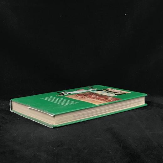 维也纳的黄金时代，1815-1914年 350余幅插图（155幅彩色） 精装大16开 商品图2