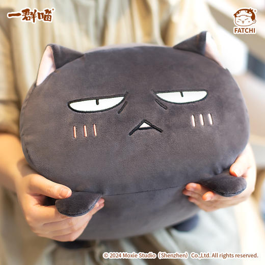 萌想诚品【乌龙趴趴抱枕】如果历史是一群喵乌龙抱枕暖手卡通靠垫 商品图0