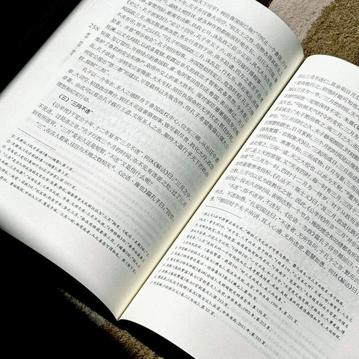 哲学 经学 语言 《思想与文化》第三十三辑 杨国荣主编 商品图14