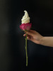 520告白爱的玫瑰🌹冰淇淋（仅限东港店内堂食） 商品缩略图1