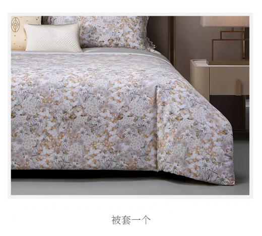 惠谊软糯亲肤秋冬柔软保暖磨毛花卉印花双人四件套望春风 商品图6
