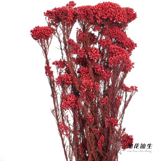 永生花材 | 小米花红色 商品图1