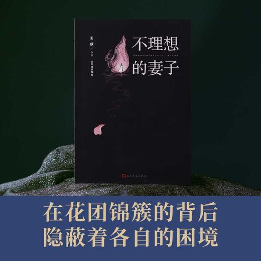 不理想的妻子（@反裤衩阵地/王欣全新作品）(王欣（网络名：反裤衩阵地）) 商品图2