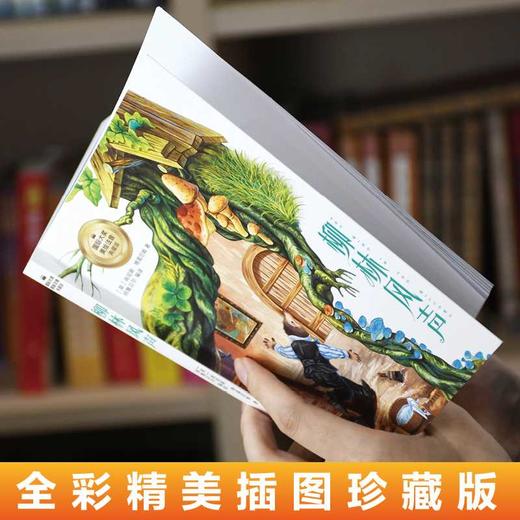 柳林风声（彩图注音版）6-12岁小学生课外阅读书籍 一二三四年级儿童文学读物带拼音世界经典名著([英] 肯尼斯·格雷厄姆) 商品图4