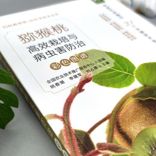 猕猴桃高效栽培与病虫害防治彩色图谱（扫码看视频•轻松学技术丛书） 商品图1