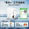 艾可丽 赫斯提亚-Ⅱ家用净水器800G直饮RO反渗透过滤厨下净水机 商品缩略图1