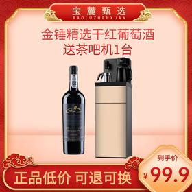 【智利原瓶进口】 金锤精选干红葡萄酒