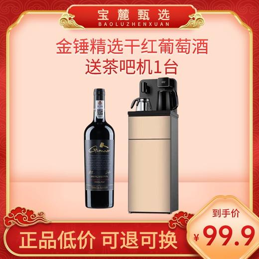 【智利原瓶进口】 金锤精选干红葡萄酒 商品图0
