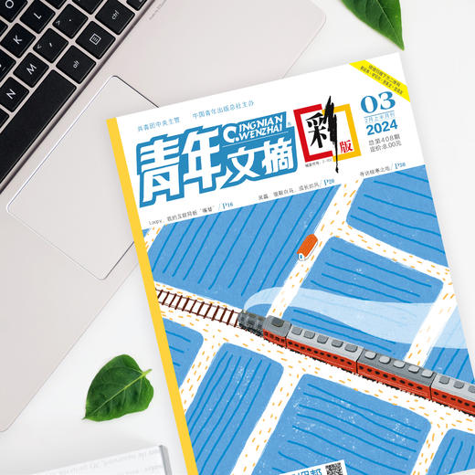 《青年文摘•彩版》（跨年定，每月2期，共24期）赠往期刊2本+孙子兵法1本 商品图5