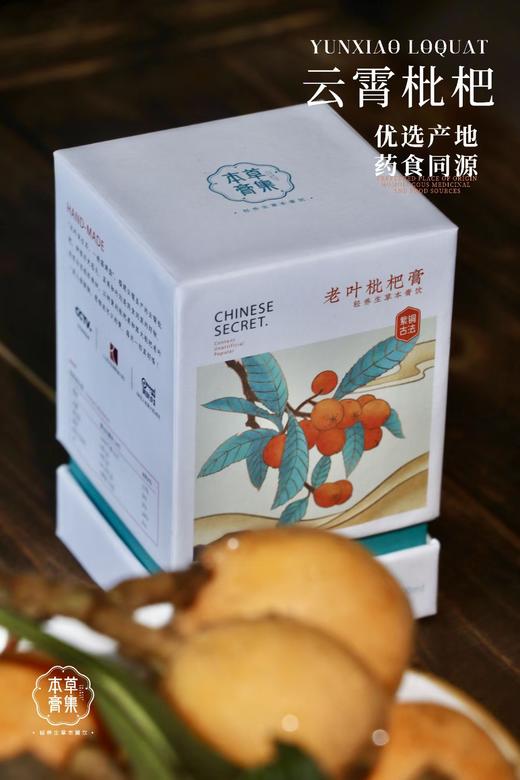 本草膏集老叶枇杷膏清润护嗓福建云霄枇杷鲜果手工 商品图1