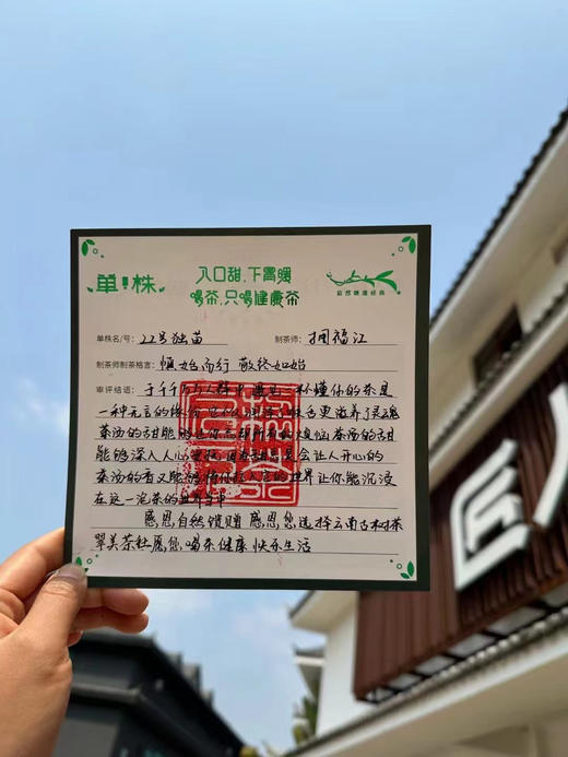 【2100年单株·野·昌宁红】巨型单株野生红茶！ 商品图3