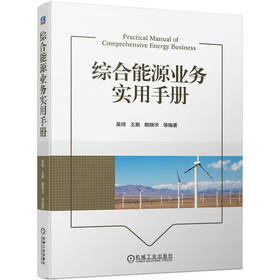 综合能源业务实用手册 吴琦 王振 鲍晓华 全面分析综合能源系统 能源转型教程书籍