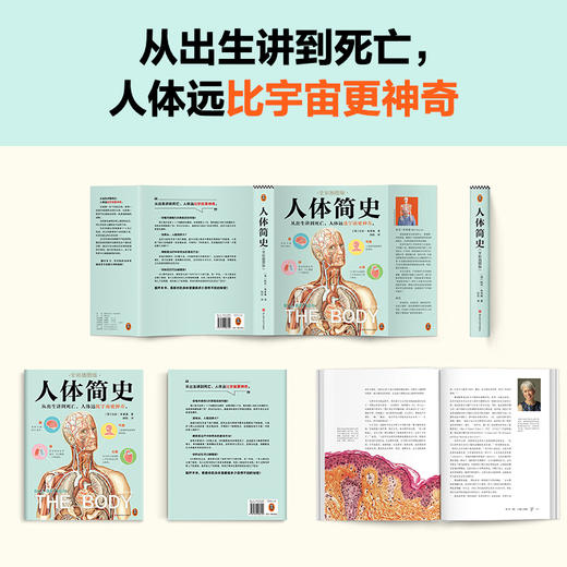 人体简史（全彩插图版）樊登罗振宇推荐！文津奖获奖作！万物简史作者全新力作！你的人体百科全书！脑洞大开的冷知识！趣味科普([英]比尔·布莱森；读客文化 出品) 商品图1