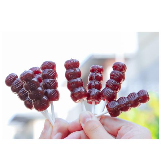 【生活选集】蓝莓山楂糖葫芦  110克（11克*10个）*4盒 商品图8