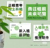 小清新花卉挂牌吊卡---绿植卡片 商品缩略图1