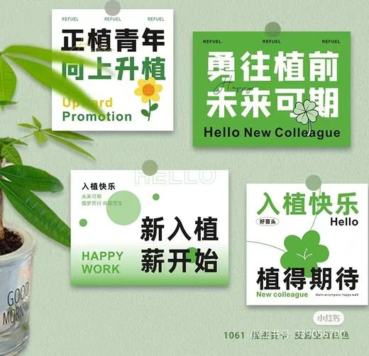 小清新花卉挂牌吊卡---绿植卡片 商品图1