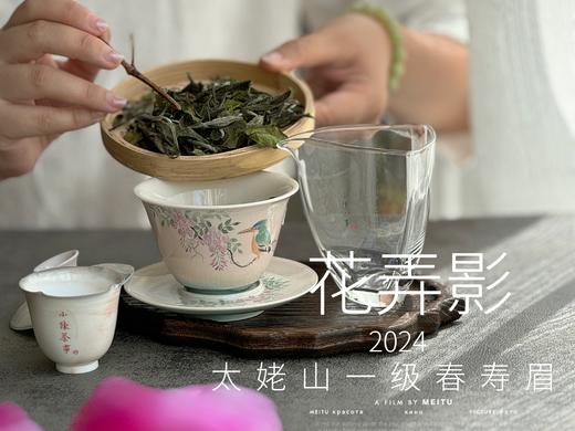 【2024春茶来了】2024一级春寿眉《花弄影》，极致的清鲜与十数种花香的激越碰撞，香清气长 商品图3