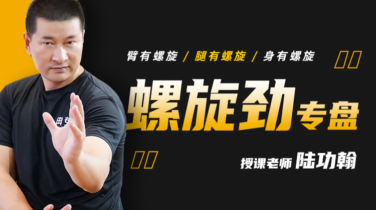 【螺旋劲力】专盘——自学课程