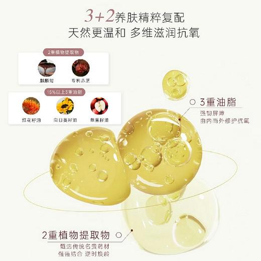 RIUE时光臻萃淡纹修护精华油30ml 商品图7