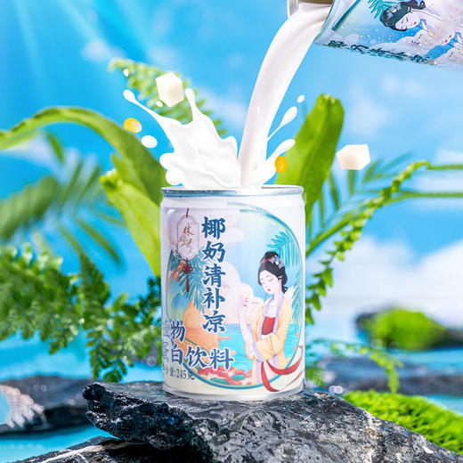 海南特产-清补凉245g(可罐头币抵现) 商品图1