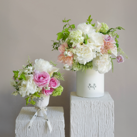 「Peony Season」绵绵蜜语Sweet Talk系列