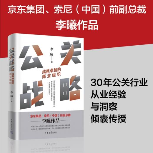 公关战略：成就卓越的商业组织 商品图0