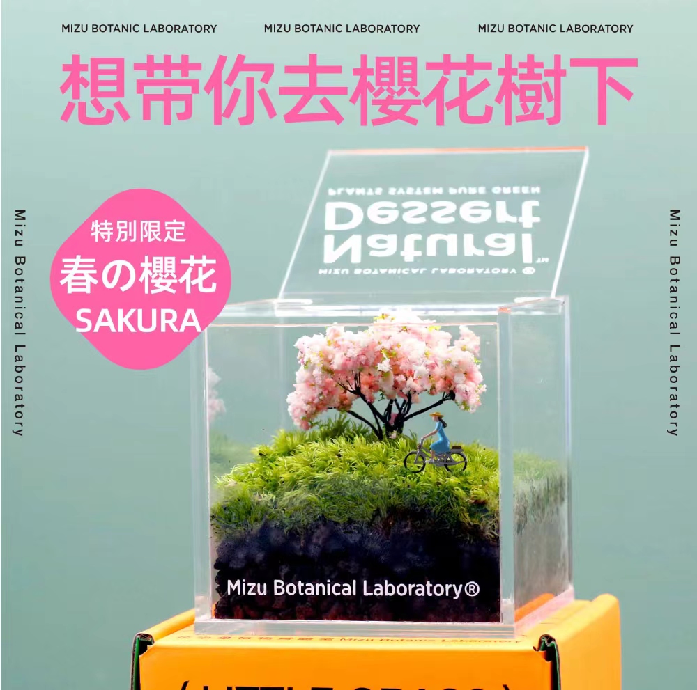 花治苔藓甜点—植物生态盒（插件随机）