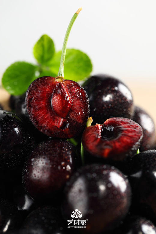 【2024新二批】艺树家🍒30年专注一颗🍒【艺术家樱桃】颗颗都是品质严选，保存自然鲜美本味 商品图0