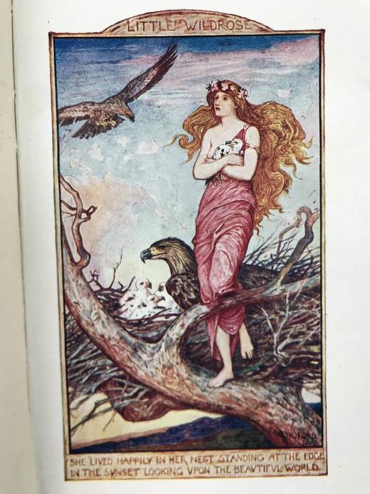 1927年 安德鲁·朗格《绯色童话书》 8幅彩色与大量黑白插图 漆布精装32开 商品图5