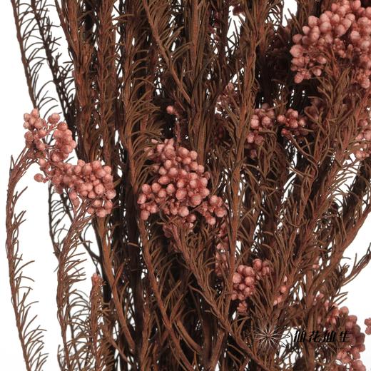 永生花材 | 小米花浅粉色 商品图3