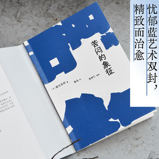 苦闷的象征（如果你时常感到生命苦闷，这本书将为你代言。书中所述有关创作的灵感、鉴赏的乐趣。以及，活着的动力！） 商品图5