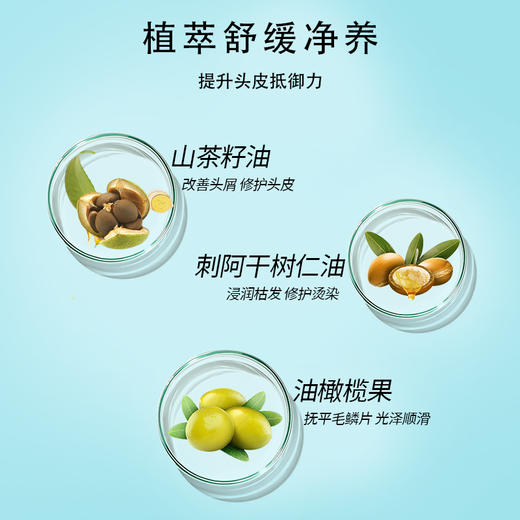 自营（菲小主）- 去屑止痒氨基酸洗头膏露品牌正品男女士 500ml 商品图1