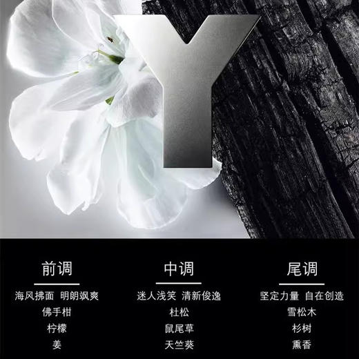 圣罗兰YSL先锋男士淡香浓香 海洋木质香调持久留香60ml/100ml 送香水礼品袋【CDF】 商品图2