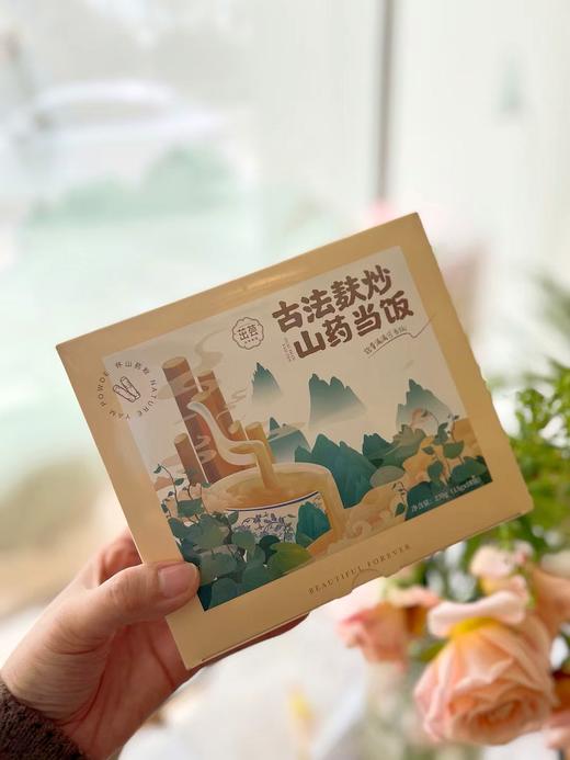 本草膏集麸炒山药粉纯铁棍山药怀山药粉健康 商品图4