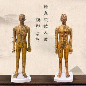 铜色针灸穴位人体模型 男女版（硬款，高约35cm）