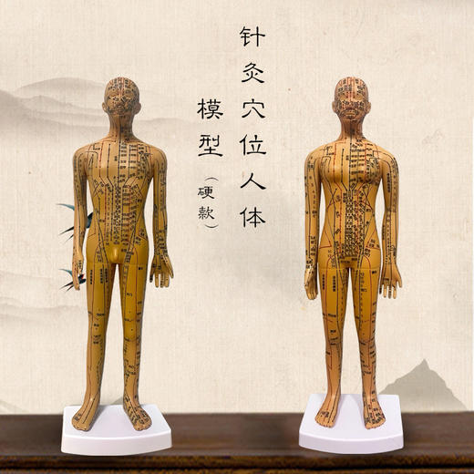 铜色针灸穴位人体模型 男女版（硬款，高约35cm） 商品图0