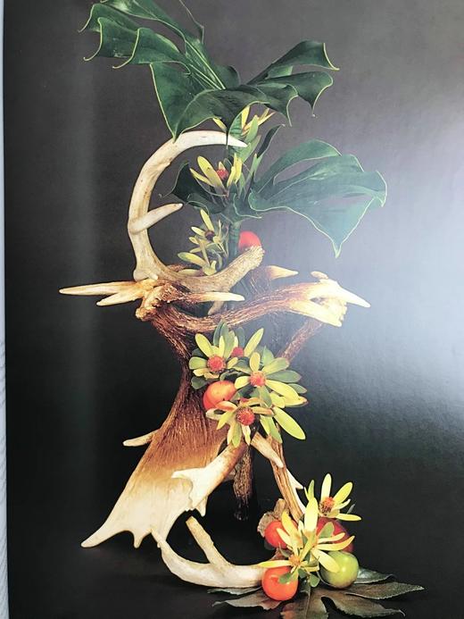 美式插花图集 约百余幅彩色插图 精装大16开 商品图14