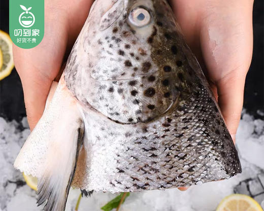 挪威冷冻大三文鱼头*2个（单个约400g+） 商品图1