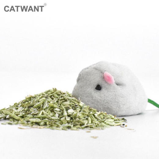 猫咪旺 猫薄荷木天蓼小鸟小老鼠两只装猫咪爱玩 商品图7