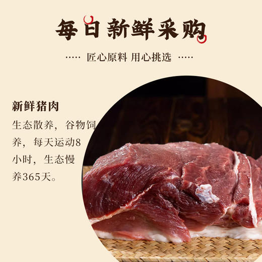 【秒杀】嵊州鲜肉小笼包（老面鲜肉 手工制作）800g*2袋（30只/袋） 商品图4