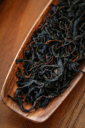 【2100年单株·野·昌宁红】巨型单株野生红茶！