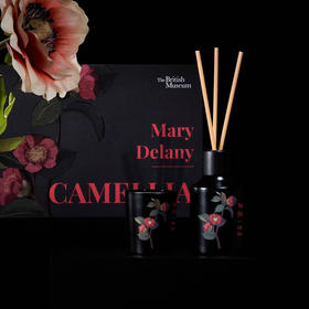 大英博物馆 博物志系列 德拉尼 香氛蜡烛 香薰套装礼盒-红色山茶