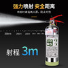 900ML简易式不锈钢水基型灭火器 商品缩略图5