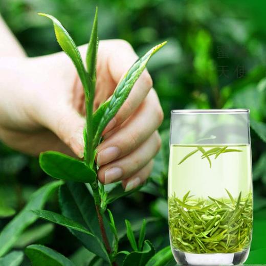 新茶上市 信隆晟信阳毛尖茶雨前嫩叶绿茶125克×2盒礼盒装黑龙潭新茶 商品图2