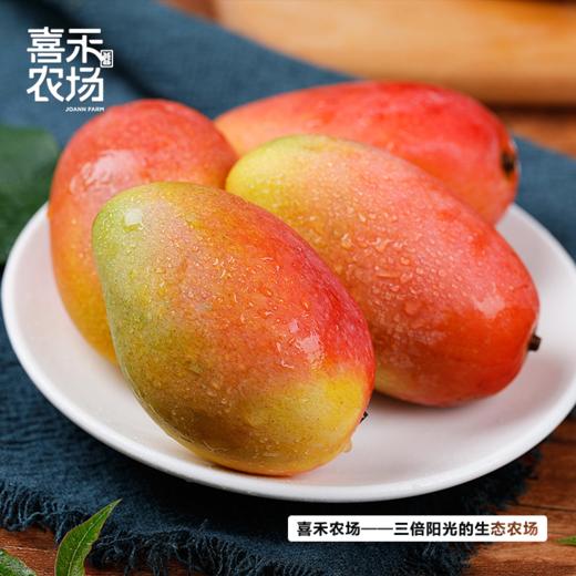 喜禾农场海南贵妃芒 | 树上成熟、自然香甜、汁多肉厚、每一口都是满足（食品不支持7天无理由）【HZ】 商品图2