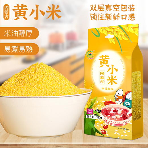 【米面精选】内蒙赤峰老山沟新小米 米香浓郁 软糯香醇 熬出厚厚米油 给妈妈一碗暖心早餐养胃粥吧  商品图0