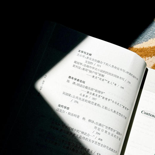 哲学 经学 语言 《思想与文化》第三十三辑 杨国荣主编 商品图8